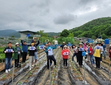 완주군 살아보기 장년층 뜨거운 반응
