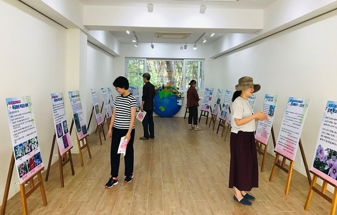 방문객들이 '무궁화이야기' 기획전시를 관람하고 있다.