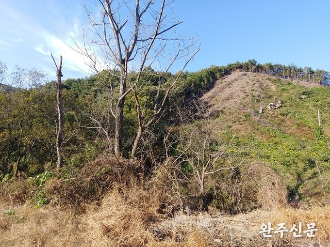 보은매립장과 하천 사이에 있는 나무가 죽었다. 나무 아래쪽으로는 침출수가 흥건히 고여 있다.