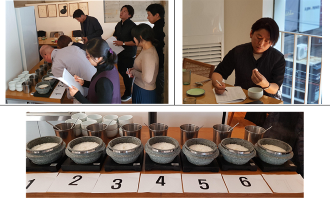 돌솥밥용 적합품종 선정과정
