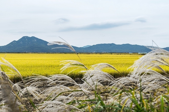 사진=pixabay