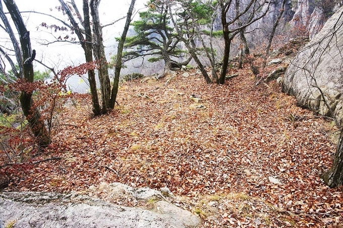 조그만 새 둥지 크기의 항전지 전경