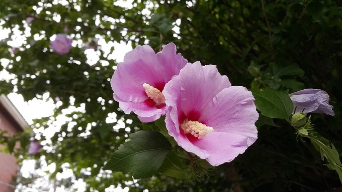 사진=pixabay
