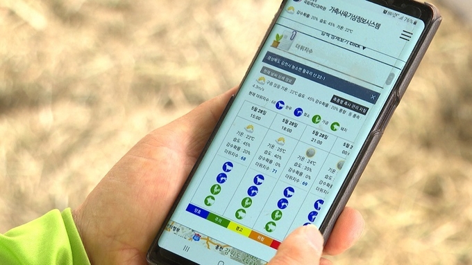 휴대전화로 가축 더위지수 확인