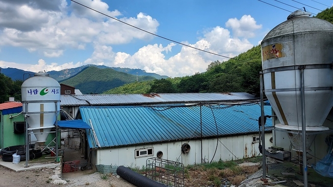 말골재 옆 돈사