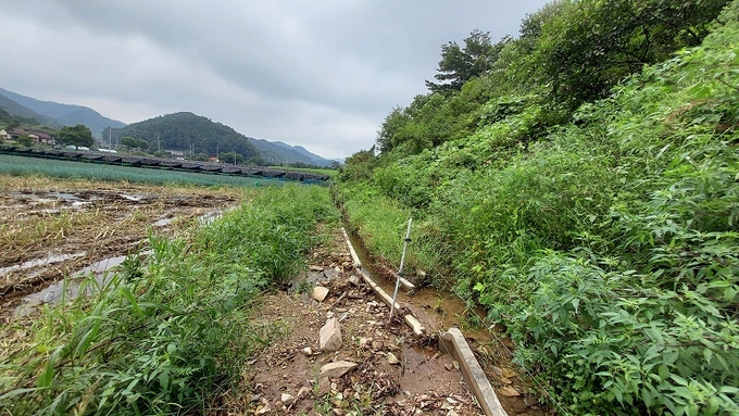산에서 흘러내린 토사와 빗물로 배수로가 막히고 산밑 밭이 늪처럼 변했다.