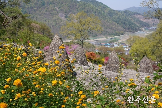  죽단화꽃과 돌탑