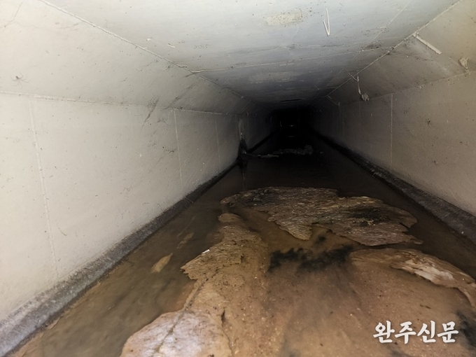 인분 퇴적물로 추정되는 물질이 우수관 바닥에 쌓여 있다.