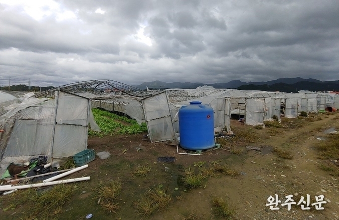 지난 2019년 봉동읍 일부 비닐하우스가 망가져 비닐이 바람에 나부끼고 있다.
