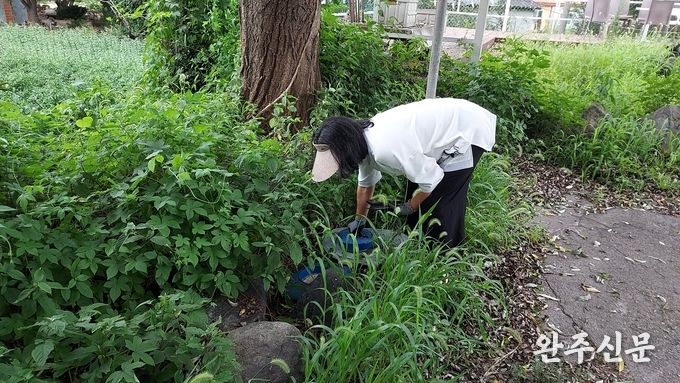 수풀을 헤치고 계량기를 찾아 검침 중인 조용옥 씨. 검침 중 뱀과 지네 등을 수시로 마주친다.
