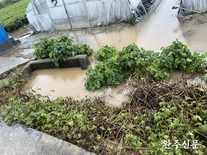 16일 삼례읍 하리 한 농가에 침수피해가 발생했다.