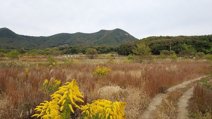 2018년 준공 예정이었던 봉동읍 조합아파트 부지.