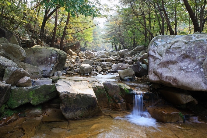 동상계곡