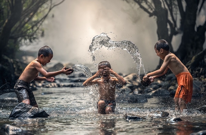 기사와 관련없는 사진/pixabay