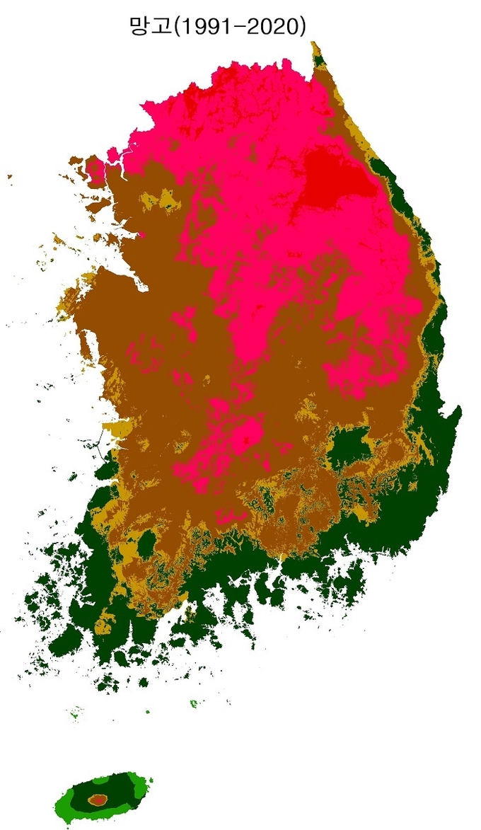망고 지도