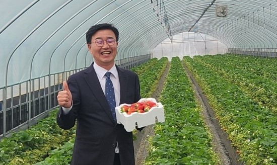 삼례 한 딸기농가에 방문한 유의식 의원 