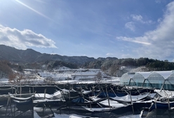 주말 눈 예보...농작물·농업시설물 피해 대비 철저 당부