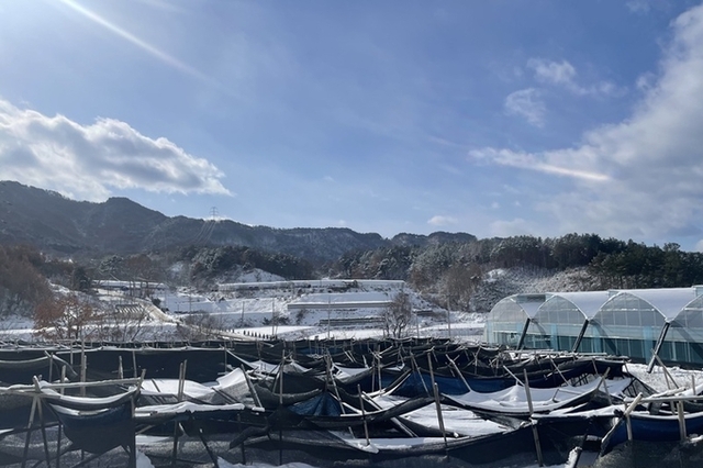 주말 눈 예보...농작물·농업시설물 피해 대비 철저 당부