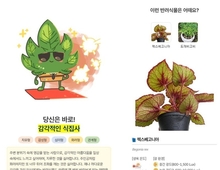 개인 선호·환경 반영한 반려식물 추천 서비스